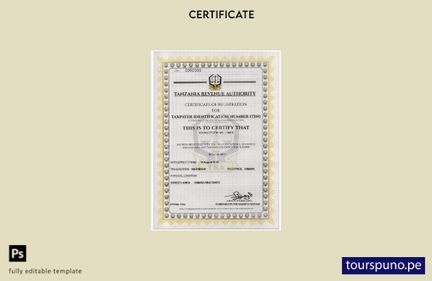 listo para imprimir plantilla de certificado de registro del número de identific
